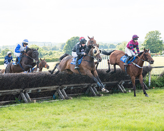 Race 6 - Open Maiden (95 of 227)