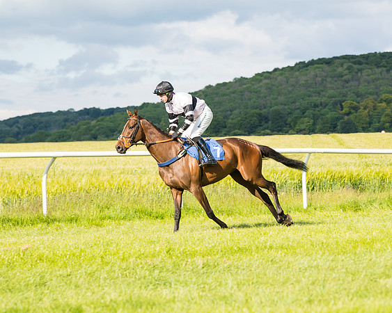 Race 6 - Open Maiden (47 of 227)