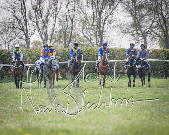 Race 2 - The Elliott of London maiden race (35 of 137)