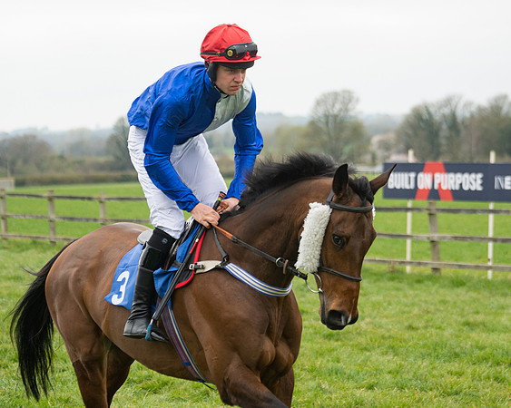Race 3 - Open maiden  (8 of 273)