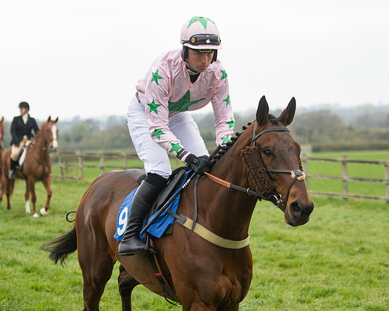 Race 3 - Open maiden  (21 of 273)