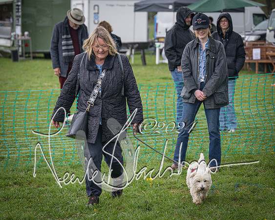 Bicester - Dog Show (2 of 106)
