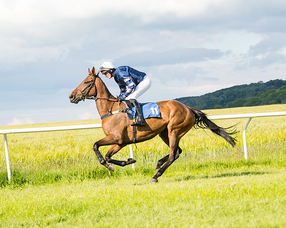 Race 6 - Open Maiden (43 of 227)