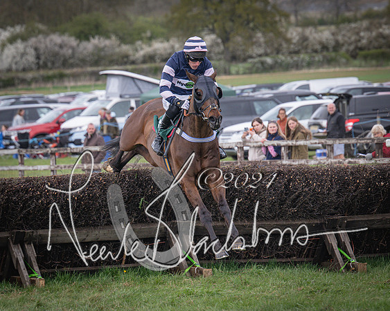 Race 3 - 5 years old and Over Maiden Race (50 of 130)