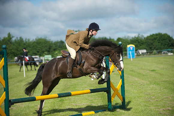 SOHS PC Summer Show at BCA 17th June 2012