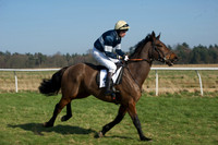 Races 2 - Conditions 9