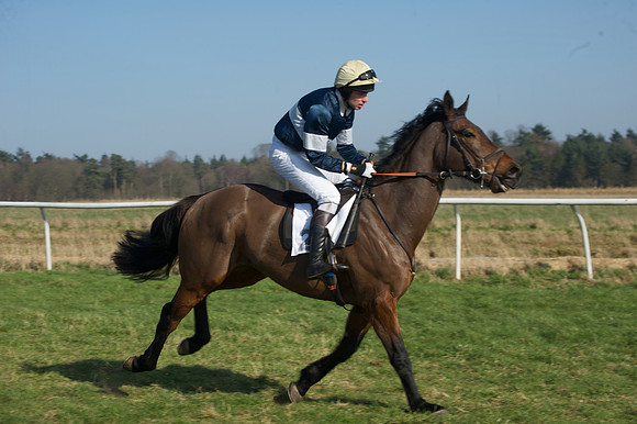 Races 2 - Conditions 9