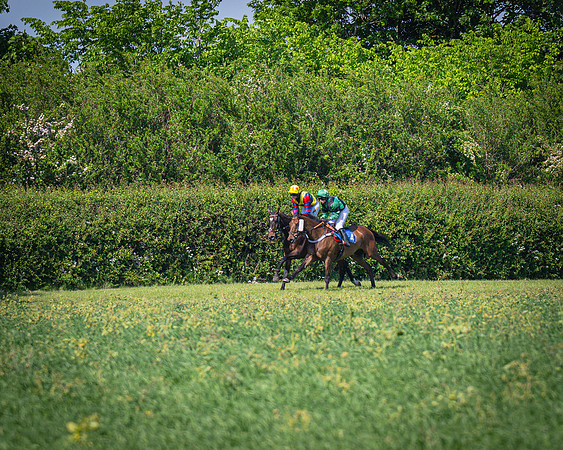 Race 3 The College and County Ladies Open Race (50 of 122)