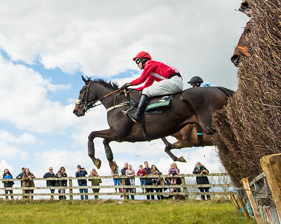 Race 2 - Young Horse Maiden (34 of 104)