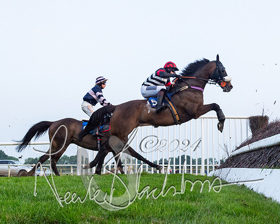 Race 5 - Peter Wright Handicap (79 of 117)