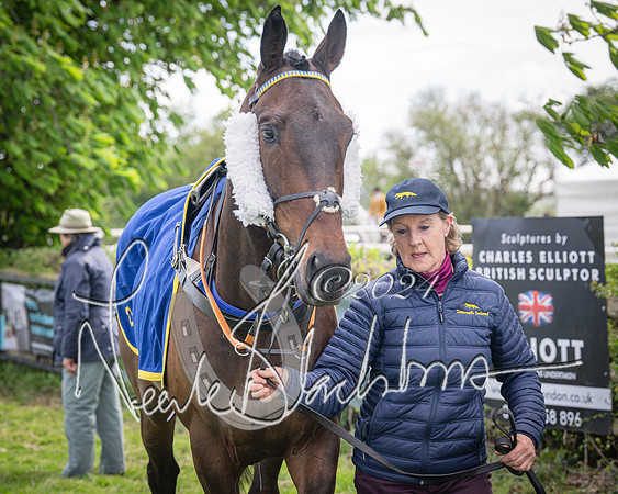 Race 2 - The Elliott of London maiden race (3 of 137)