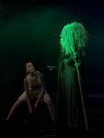 The Wizard of OZ -  290