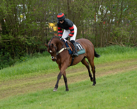 Race 2 - Jockey Club ROR veteran Horse (4 of 104)