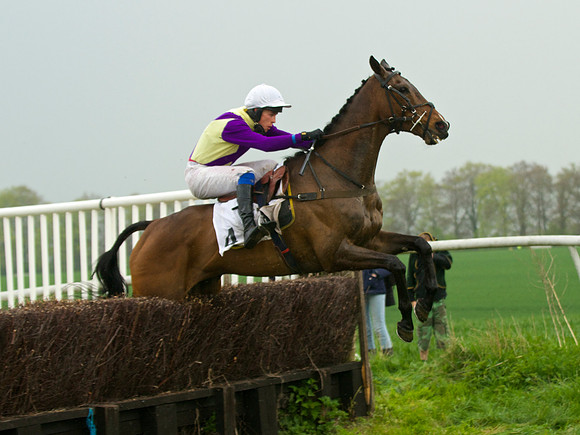 Old Berks at Lockinge Mixed Open Race