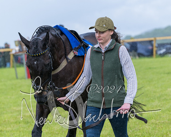 Race 1 - Owner-Trainer Conditions  (72 of 392)