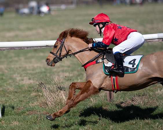 Pony Races (106 of 112)