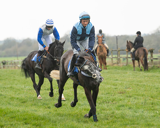 Race 3 - Open maiden  (36 of 273)