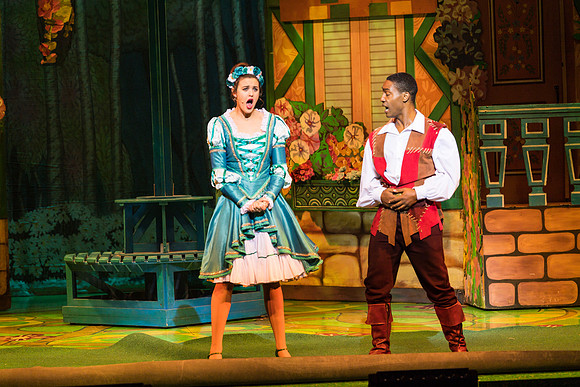 Swan Panto 2017