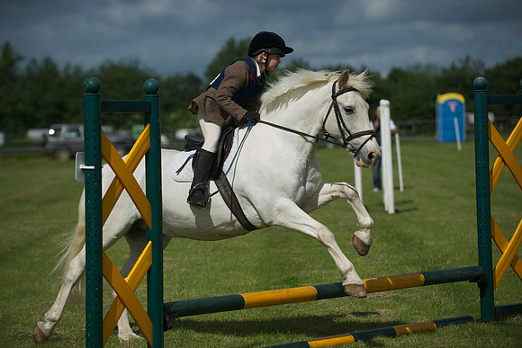 SOHS PC Summer Show at BCA 17th June 2012