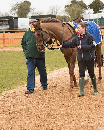 Race 6 - Open Maiden (19 of 120).jpg