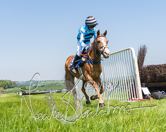 Pony Races  (41 of 141)