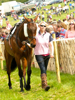Old Berks at Lockinge Confined Hunts Race