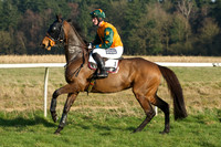 Races 5 - Restricted 13
