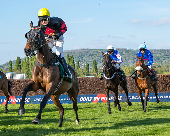 Race 3 - KTDA Hunters' Steeple Chase  (118 of 226)