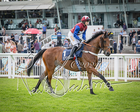Race 2 - Olly Murphy Racing Stratford Ladies Open (29 of 111)