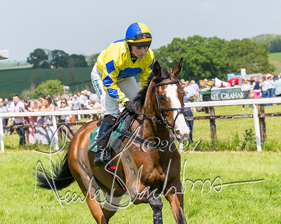 Race 2 - The Maiden  (100 of 442)