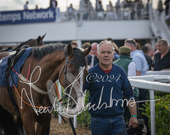 Race 3 - The pointtopoint.co.uk champion novices’ Hunter Chase (26 of 140)