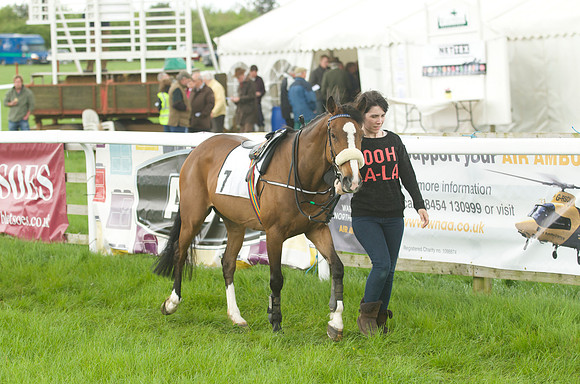 Pony Race - 2    3