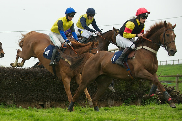 Race 6 - Maiden 35