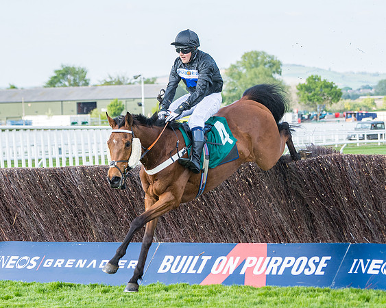 Race 1 - The open Hunter chase  (68 of 95)