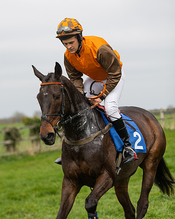 Race 2 - Veteran Horse (8 of 153)