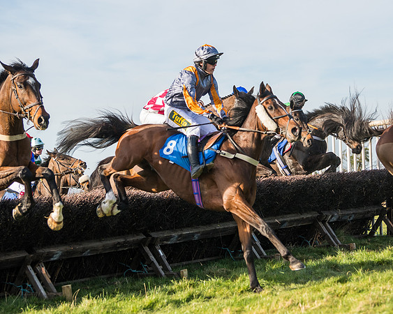 Race 5 - Restricted (30 of 146)