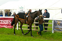 Race 6 - Intermediate 9