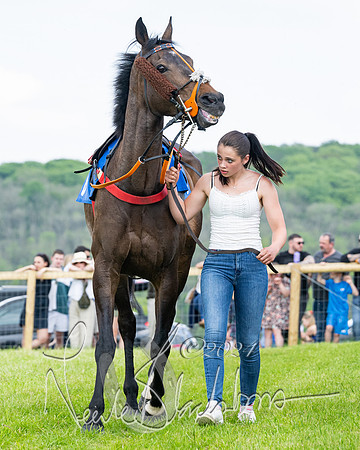 Race 2 - Restricted  (76 of 308)