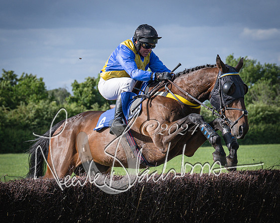 Race 6 - Thorn Plant Hire Maiden Race (49 of 129)