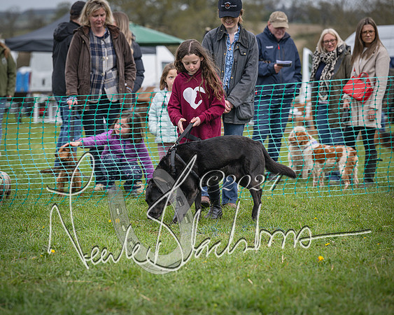 Bicester - Dog Show (38 of 106)