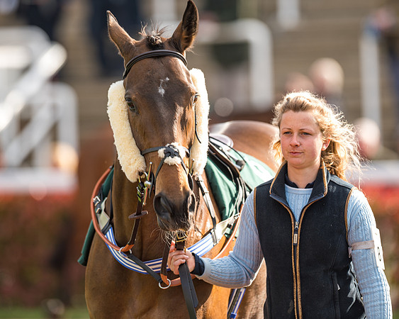 Race 2  -  Intermediate Point to Point Hunters' Steeple Chase (33 of 277)