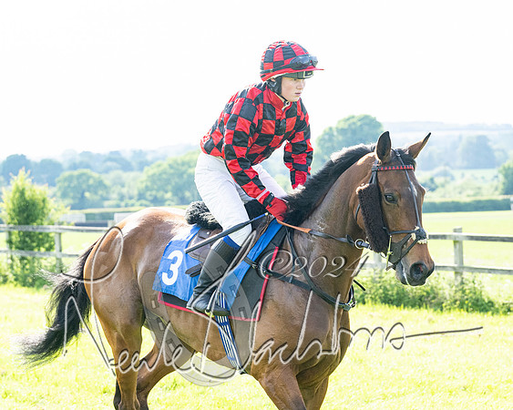 Race 5  - Maiden race 2m5F Div-2 (109 of 205)