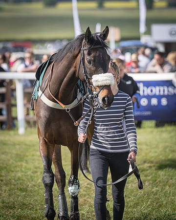 Race 5 - Restricted (9 of 116)