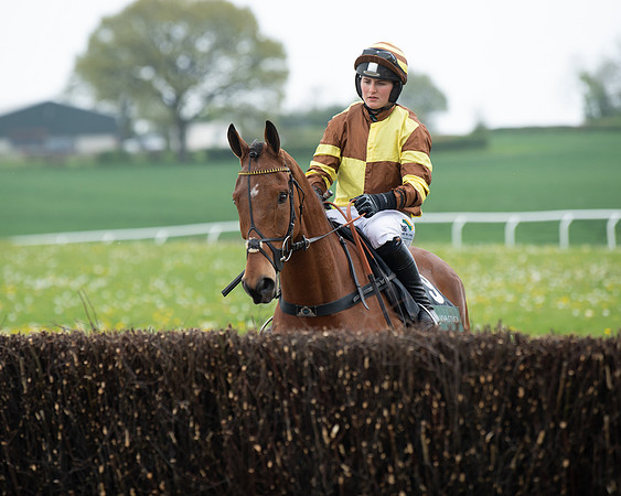 Race 2 - Jockey Club ROR veteran Horse (20 of 104)