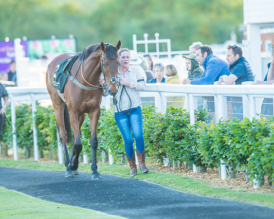 Race 7 - ITM Bumper (2 of 72)