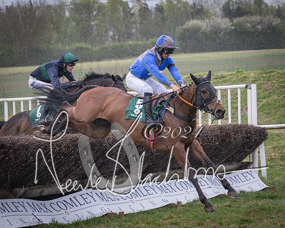Race 7 - The Jockey Club maiden race for Mares and Fillies only (52 of 96)
