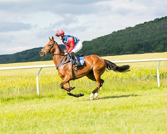 Race 6 - Open Maiden (67 of 227)