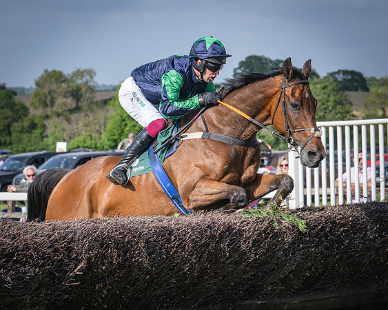 Race 6 - 2m5f Conditions (41 of 70)
