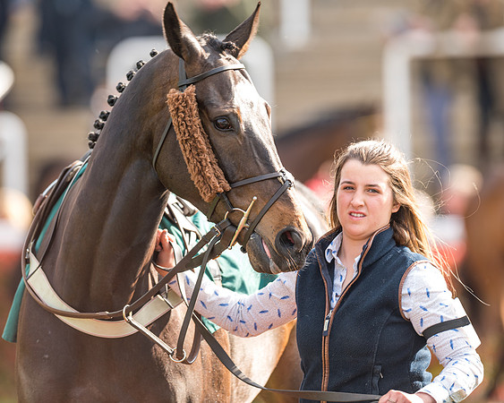 Race 2  -  Intermediate Point to Point Hunters' Steeple Chase (12 of 277)