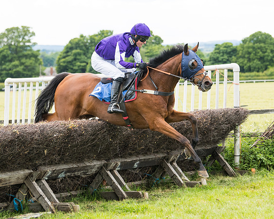 Race 5 - Restricted  (86 of 136)